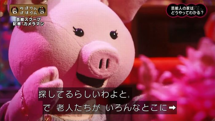 ねほりん 芸能スクープ回のキャプ115