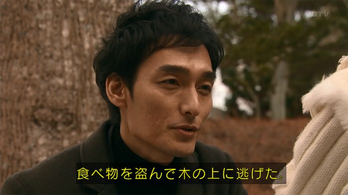 嘘の戦争のキャプ245