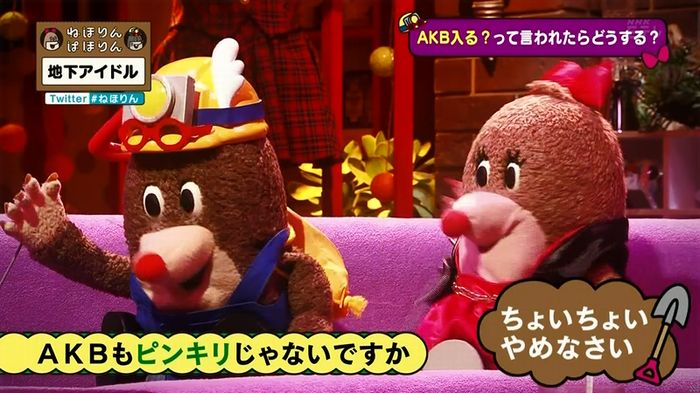 ねほりん 地下アイドル後編のキャプ490