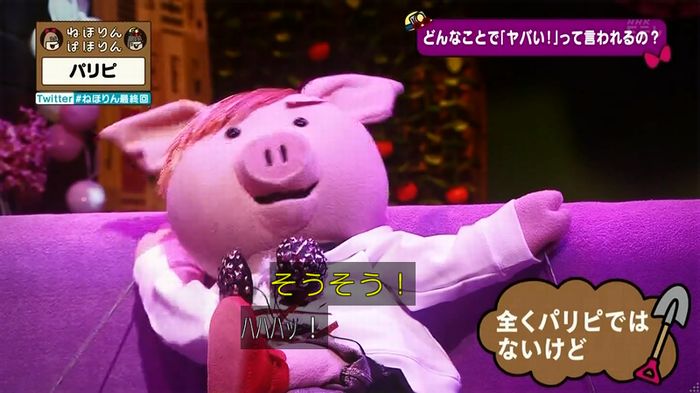 ねほりん 最終回のキャプ328