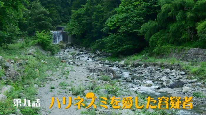 警視庁いきもの係 9話のキャプ122