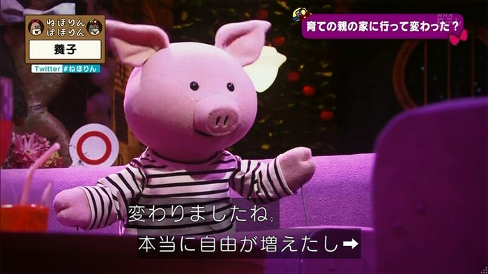ねほりん 養子回のキャプ72