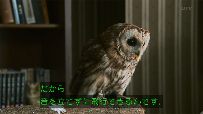 警視庁いきもの係 8話のキャプ208
