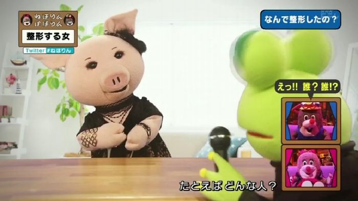 ねほりんぱほりんのキャプ146