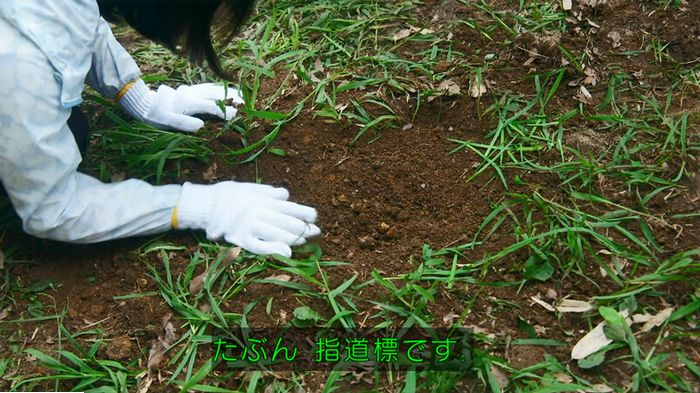 警視庁いきもの係 9話のキャプ524