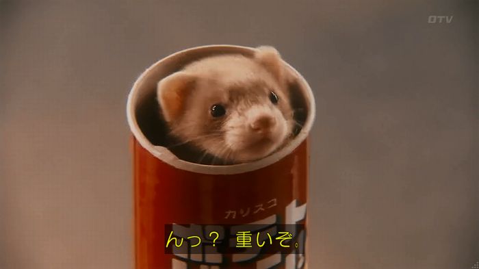 警視庁いきもの係 8話のキャプ413