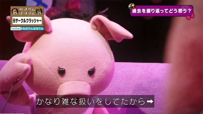 ねほりんぱほりん サークルクラッシャーのキャプ503