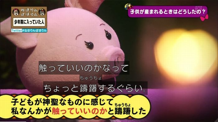 ねほりんぱほりんのキャプ347