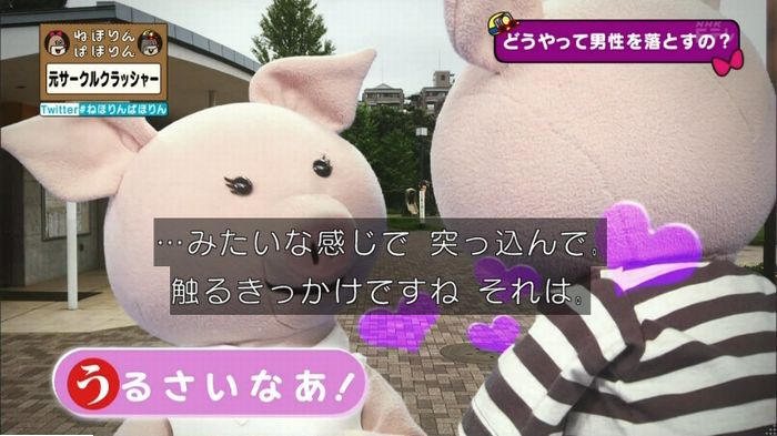 ねほりんぱほりん サークルクラッシャーのキャプ184