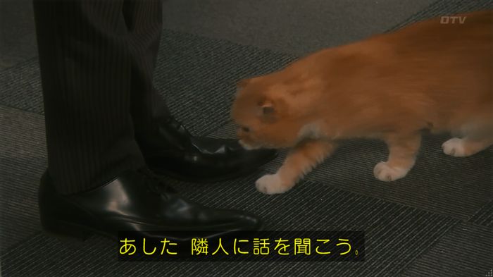 いきもの係 3話のキャプ310