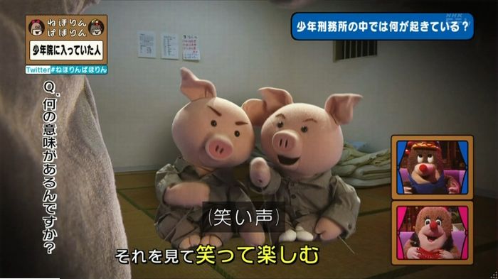 ねほりんぱほりんのキャプ175