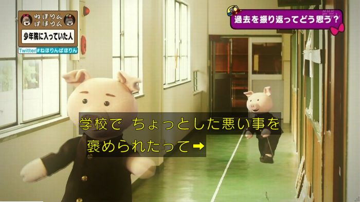 ねほりんぱほりんのキャプ437