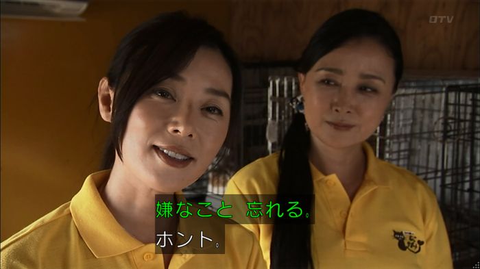 ウツボカズラの夢1話のキャプ392