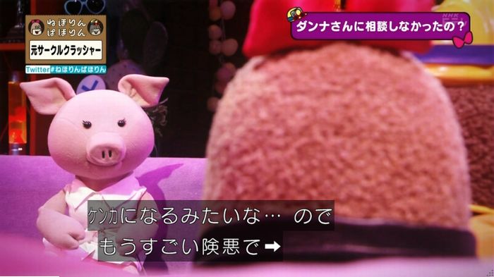 ねほりんぱほりん サークルクラッシャーのキャプ401