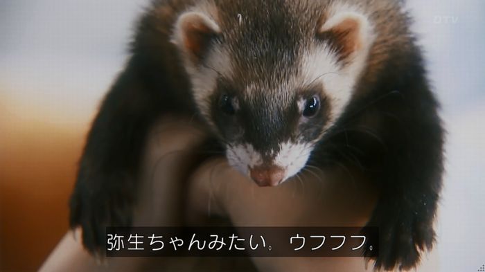 警視庁いきもの係 8話のキャプ43