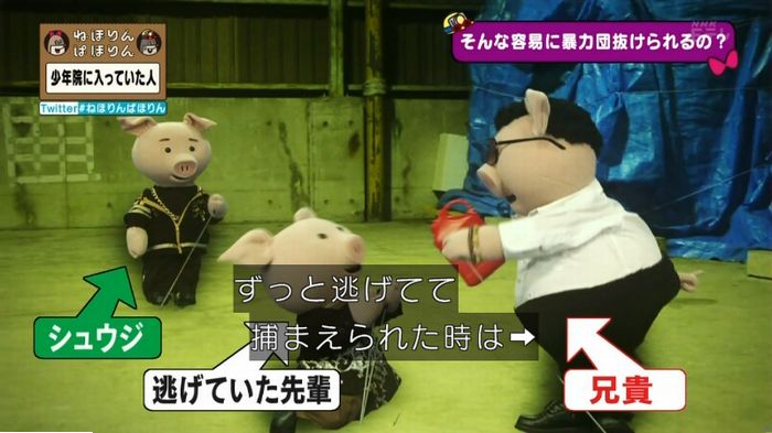 ねほりんぱほりんのキャプ262