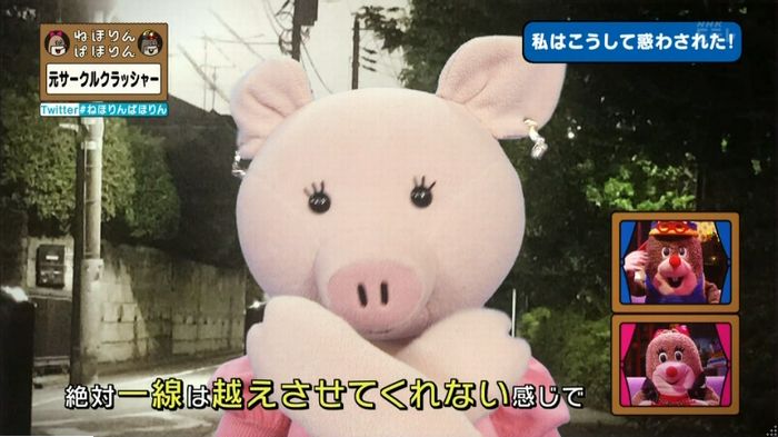 ねほりんぱほりん サークルクラッシャーのキャプ242