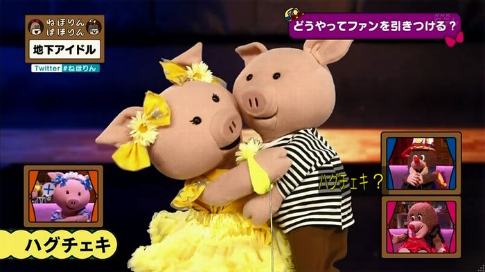 ねほりん 地下アイドル回のキャプ493