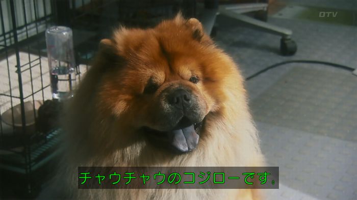 いきもの係 3話のキャプ68