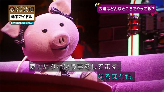 ねほりん 地下アイドル回のキャプ86