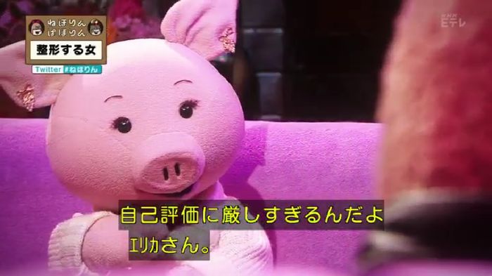 ねほりんぱほりんのキャプ477