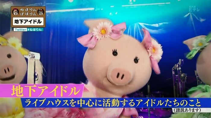 ねほりん 地下アイドル後編のキャプ2