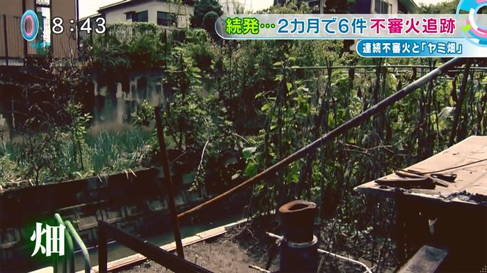 とくダネ!のキャプ18