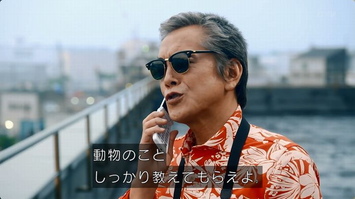 警視庁いきもの係 8話のキャプ8