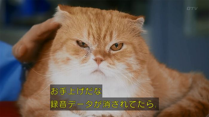 警視庁いきもの係 8話のキャプ536