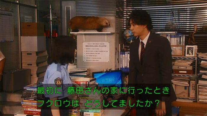 警視庁いきもの係 8話のキャプ424