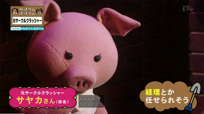 ねほりんぱほりん サークルクラッシャーのキャプ26