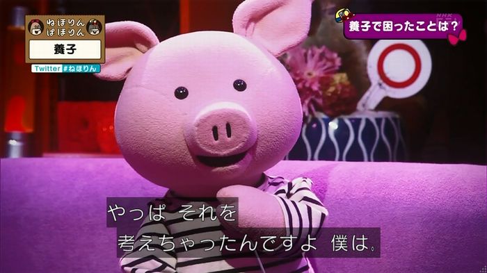 ねほりん 養子回のキャプ180