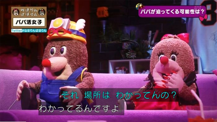 ねほりんぱほりんのキャプ384