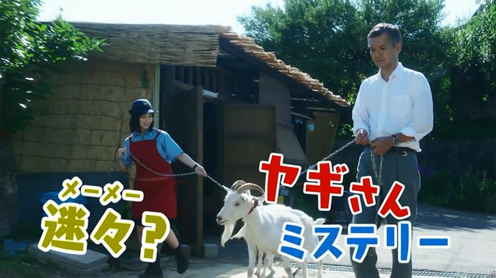 いきもの係 3話のキャプ838