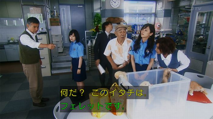 警視庁いきもの係 8話のキャプ65