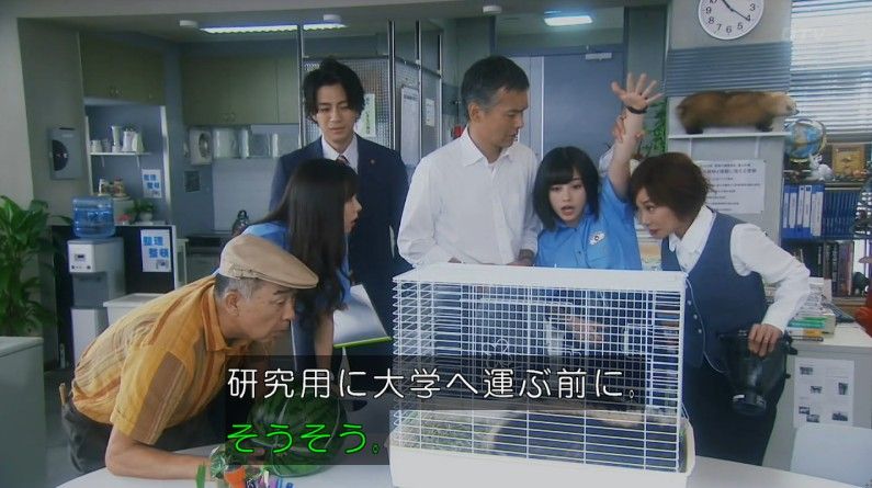 いきもの係 4話のキャプ112