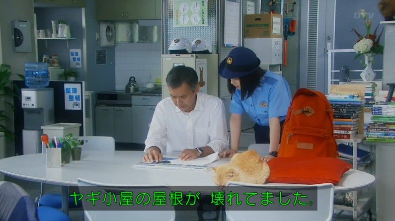 いきもの係 4話のキャプ512