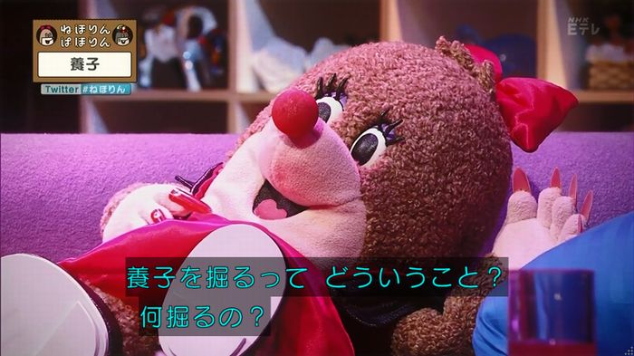 ねほりん 養子回のキャプ14