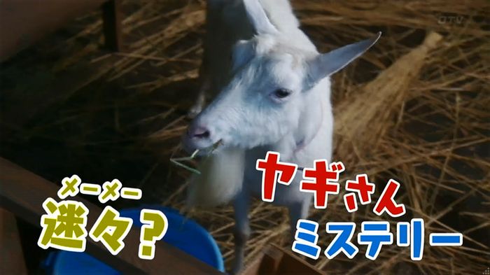 いきもの係 3話のキャプ839