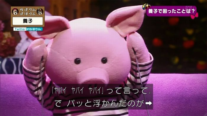ねほりん 養子回のキャプ168