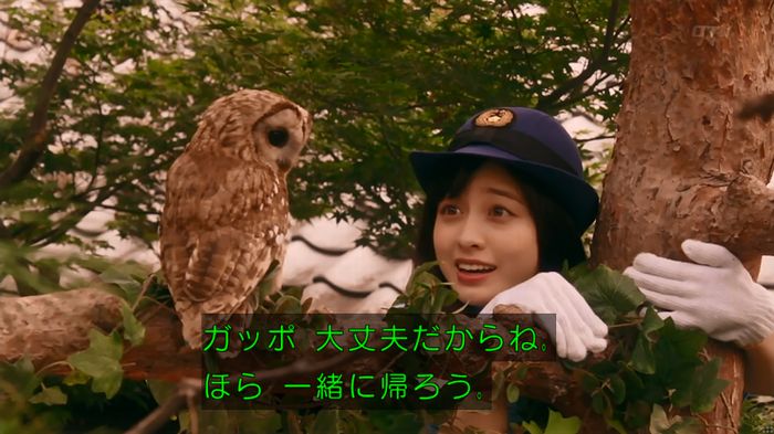 警視庁いきもの係 8話のキャプ606