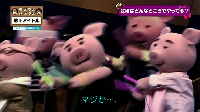 ねほりん 地下アイドル回のキャプ75