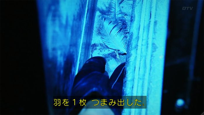 警視庁いきもの係 8話のキャプ726