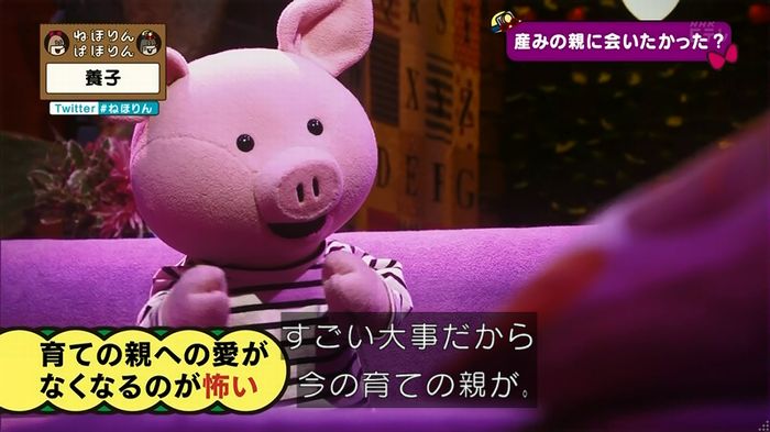 ねほりん 養子回のキャプ304