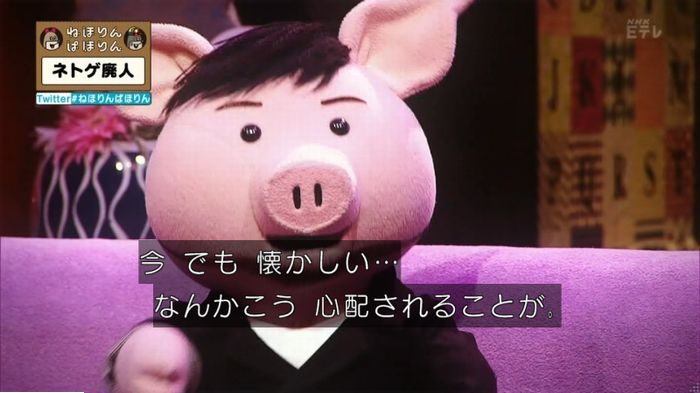 ねほりんネトゲ廃人のキャプ481