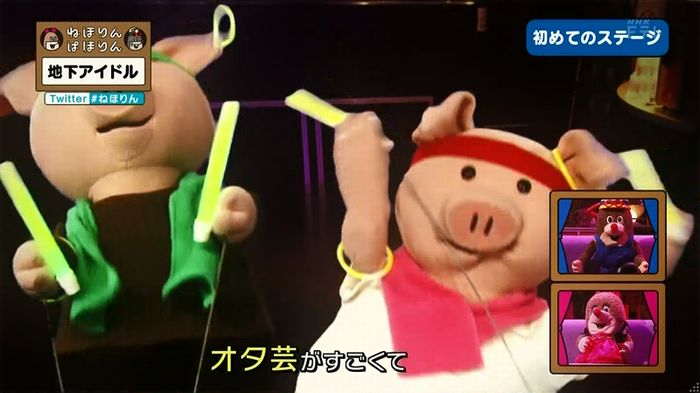 ねほりん 地下アイドル回のキャプ284
