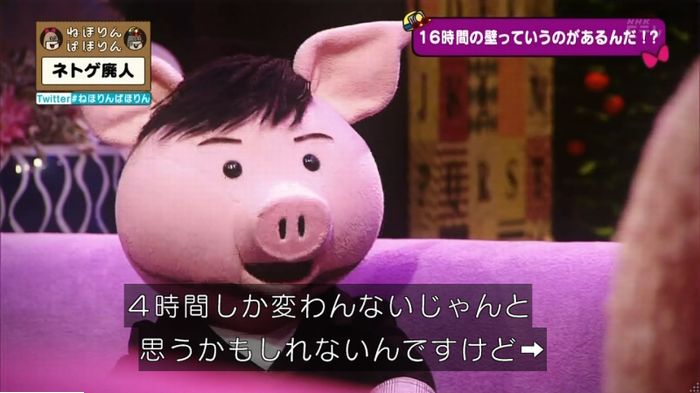 ねほりんネトゲ廃人のキャプ203