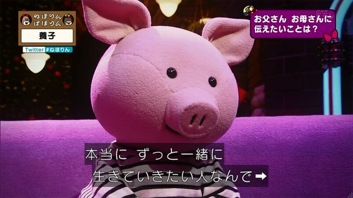ねほりん 養子回のキャプ444