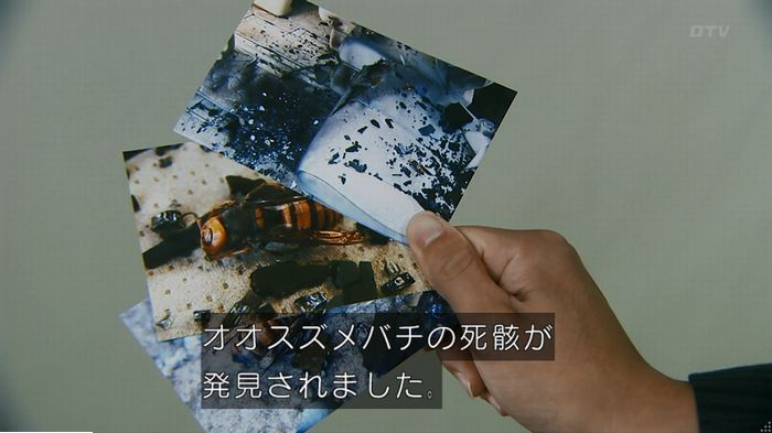 警視庁いきもの係 9話のキャプ619