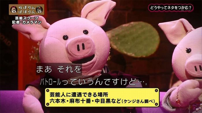 ねほりん 芸能スクープ回のキャプ36